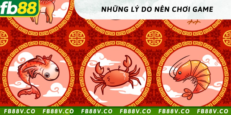 Những lý do nên đặt cược 