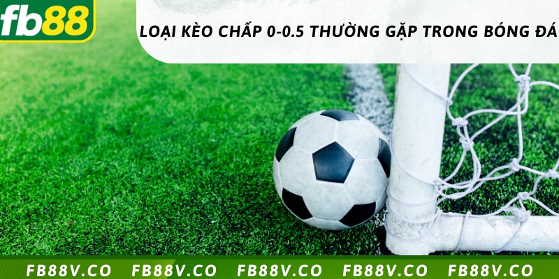 Các loại kèo 0/0.5 thường gặp có tỷ lệ thắng cao