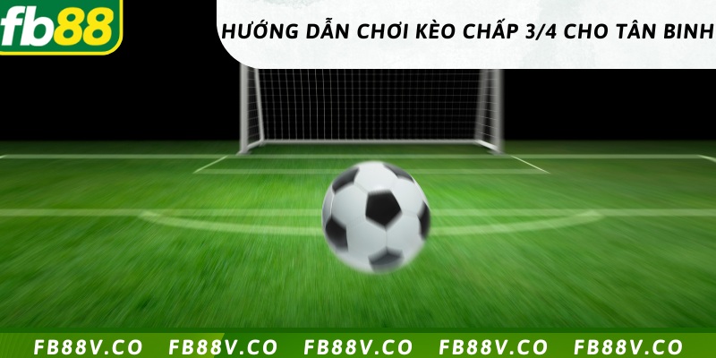 Hướng dẫn đặt kèo chấp 3/4 cho người mới chơi