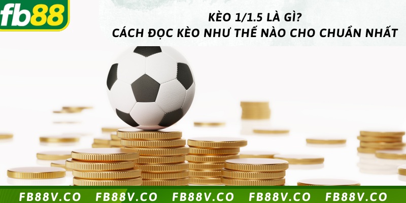 Kèo 1/1.5 là gì? Cách đọc kèo như thế nào cho chuẩn nhất