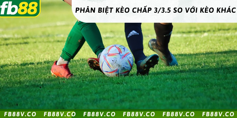 Phân kèo 3/3.5 và những kèo khác ở FB88