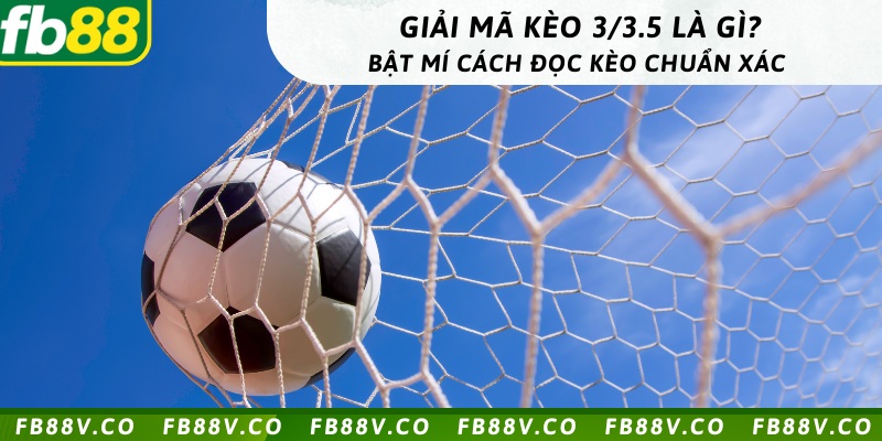 Giải mã kèo 3/3.5 là gì? Bật mí cách đọc kèo chuẩn xác 